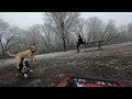 my very first run at the dog park with the gopro