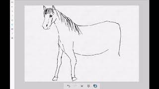 Drawing animals in Malayalam - Horse - ഒരു കുതിരയെ വരക്കാം