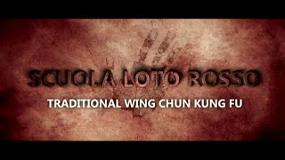 Wing Chun Kung Fu - Slow Motion