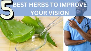 TOP 5 HERBS TO IMPROVE YOUR VISION: Herbs to keep your eyes healthy