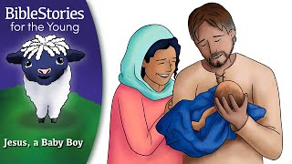 Day 223 Jesus: God Becomes a Baby Boy ~ Daily Bible Stories for Children