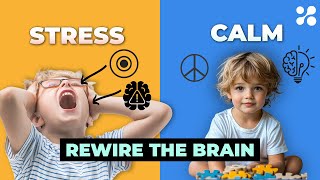 How Environment Affects Brain Development in Children
