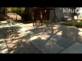 Michael McNichol sustainable garden design|Central Texas Gardener