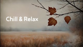 [Comfortable Western Music Playlist] Chill Western Music to Soothe the Soul/Stylish Western Music