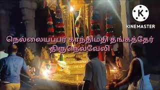 Nellaiappar Gandhimathi Golden Chariat  - Thirunelveli