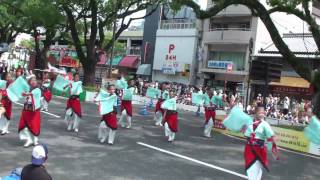 俵屋　～2010高知よさこい祭り・全国大会(追手筋・北)