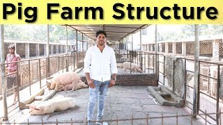 How to make pig farm structure in india | कैसे सूअर फार्म स्ट्रक्चर बनाये |