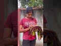 saree wali 😀 part 3 maa beti santali short comedy video priti tudu santali short comedy video