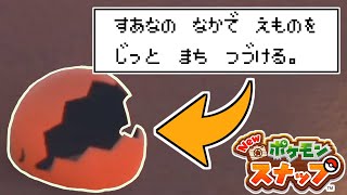 【必見】図鑑説明を知るとポケモンスナップはもっと楽しめる！ #3 【ネッサ砂漠(昼)】