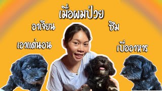 EP.36 ลำไส้อักเสบในน้องหมาและวิธีการดูแลที่บ้าน | Idear สาวไทบ้าน