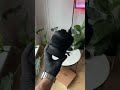 Зимові жіночі уггі ugg lowmel sneaker 36 41