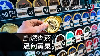 快看世界／這項「商品」的普及 讓瑞典吸菸者不到5%