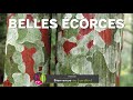 LES ÉCORCES DÉCORATIVES,TABLEAUX VIVANTS. LES PLUS BELLES ESPÈCES PRÉSENTÉES PAR PATRICK ET ROLAND