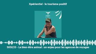 S05E33 - Le bien-être animal : un enjeu pour les agences de voyages