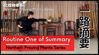 北螳螂拳系-一路摘要 Northern Praying Mantis Series - First Routine of Summary