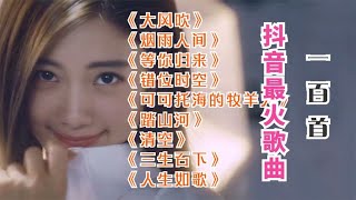 2021年100首抖音最火歌曲（ 1-10）《大風吹》《煙雨人間》《等你歸來》《錯位時空》《可可託海的牧羊人》《踏山河》《清空》《三生石下》《人生如歌》