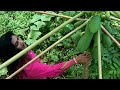 Sri Lankan Style  #analogforest.#foodforest #srilankaculture #forestgardens #permaculture #travel .