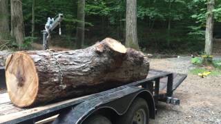 Warn M8000 winch drags a  4000 pound white oak log off trailer