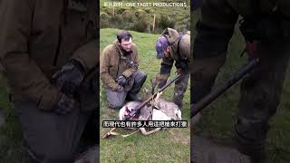 【開箱】這不是98k 它是 李恩菲爾德 Lee-Enfield #生存遊戲 #airsoft #サバゲー #서바이벌게임 李-恩菲爾德步槍