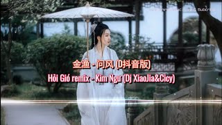 金渔 - 问风 (D抖音版) | Hỏi Gió remix - Kim Ngư (Dj XiaoJia\u0026Cicy)