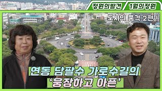 🌳도시의 품격🌳 | 2편 - 연동 담팔수 가로수길의 ‘웅장하고 아픈’ | 정원의 발견 Wonders of Garden | KBS제주 20220114 방송