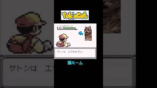 【猫ミーム×ポケモン】ゲットだぜ！　#shorts #猫 #動物