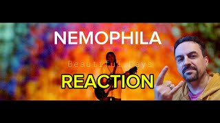 NEMOPHILA  Beautiful Days [Official Music Video] REACTION