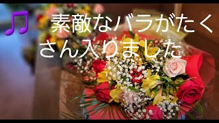 4月23日 花国湘南台店　リアル店舗　素敵なバラがたくさん入荷しました