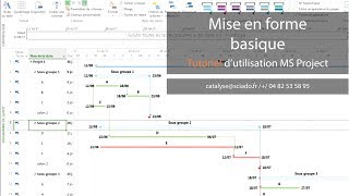 Tuto 6 mise en forme basique sous MS Project