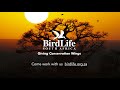 BirdLife South Africa - Hope