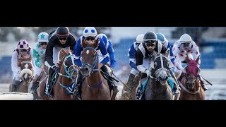 18th Race Meeting of Season 2018 / 2019