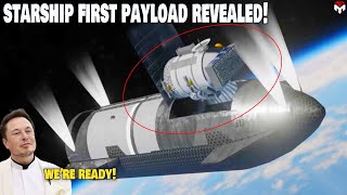 It happened! SpaceX just revealed Starship's first payload to orbit...