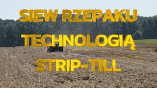 Siew rzepaku w technologii strip till