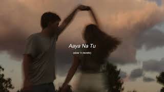 Aaya na tu - slowed and reverb | Arjun Kanunga, Momina Mustehsan