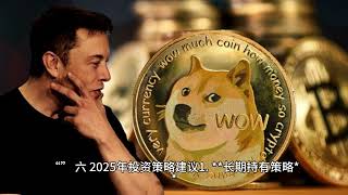 狗狗币价格暴涨的核心因素有哪些？DOGECOIN社区与Meme文化的影响！马斯克的持续支持！狗狗币的定位：从Meme到功能性！