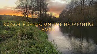 Roach fishing on the Hampshire Avon