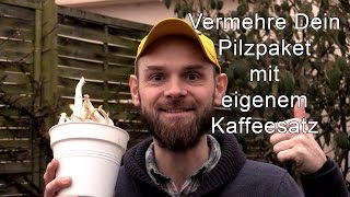 Vermehre Dein Pilzpaket mit eigenem Kaffeesatz - züchte selbst Edelpilze zuhause