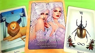 Bạn Thật Sự Có GIÁ TRỊ Trong Mắt Của Ai / Tarot Reading