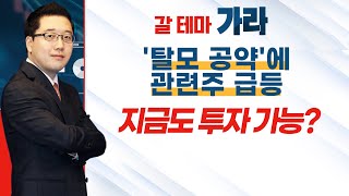 [갈 테마 가라] '탈모 공약'에 관련주 급등… 지금도 투자 가능? / 머니투데이방송 (증시, 증권)