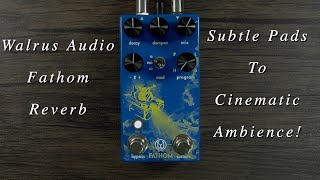 Walrus Audio Fathom Multi Function Reverb | From Subtle to Cinematic Ambience! (No Talking Demo)