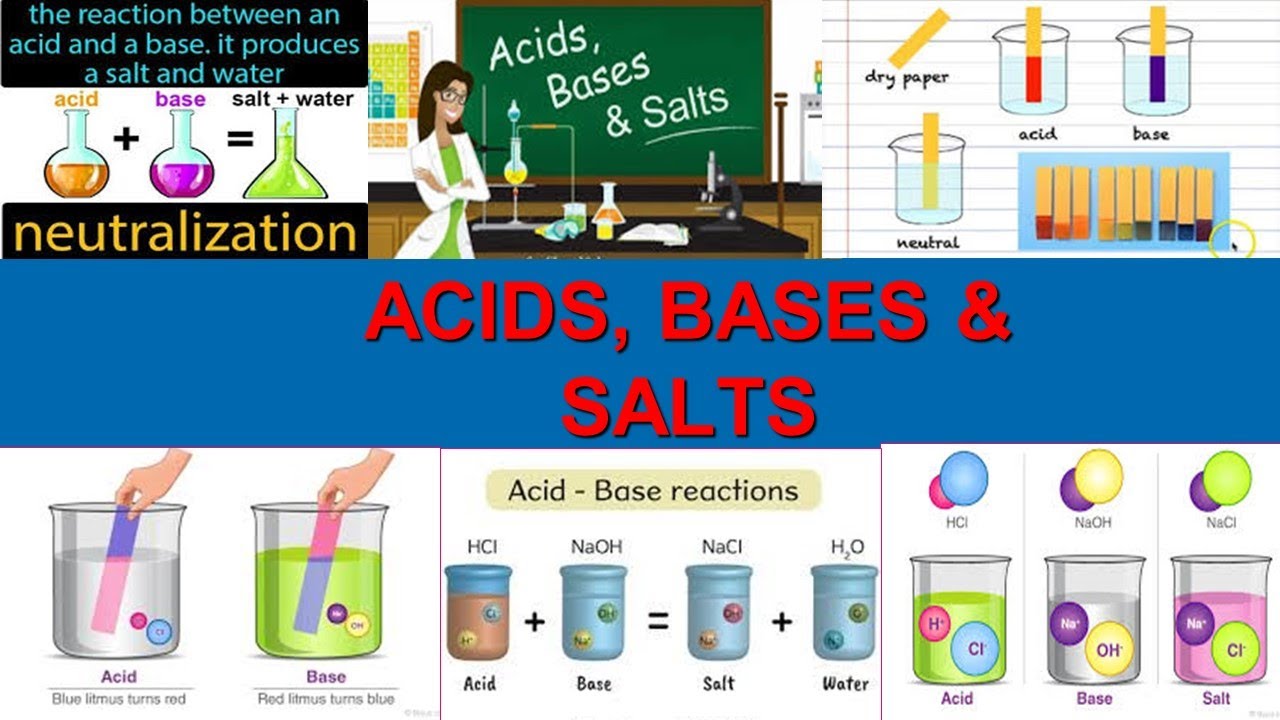 ACID BASES AND SALTS _ CHEMISTRY_ PPT_ PRESENTATION - YouTube