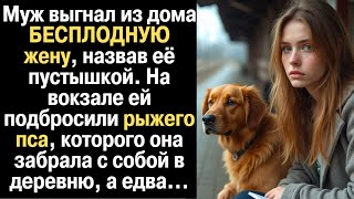 Муж орал на жену, обвиняя ее в неспособности РОДИТЬ, а после развода она узнала правду и обомлела...