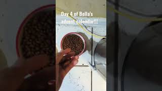 Day 4 of Bella's jerky advent calendar!!