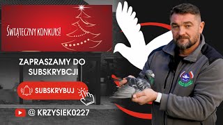 KONKURS ŚWIĄTECZNY!!! 🎅🏻🎄 AUKCJE - WYSTAWA