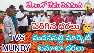 08/01/25 Madanapalle Tomato Market Price Today || Today Tomato Market Rate In Madanapalle #today