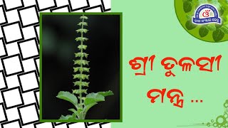 Tulsi Mantra with Odia Lyrics - Mahaprasad Janani || ତୁଳସୀ ମନ୍ତ୍ର || Shri Tulsi Mata Mantra