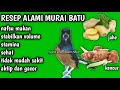 cara mengobati burung serak secara alami