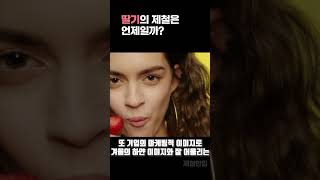 딸기의 제철을 겨울로 알고 계신가요????