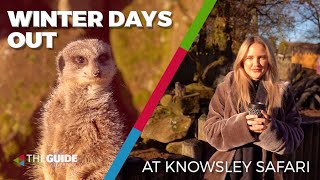 Why Knowsley Safari is the perfect destination for your next winter day out | The Guide Liverpool