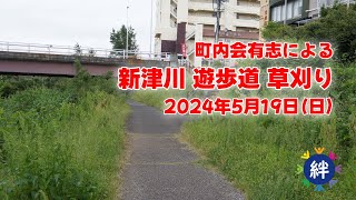 【地域活性化イベント】新津川遊歩道草刈り  2024年5月20日（日）8:00～10:00 ＠新津川遊歩道